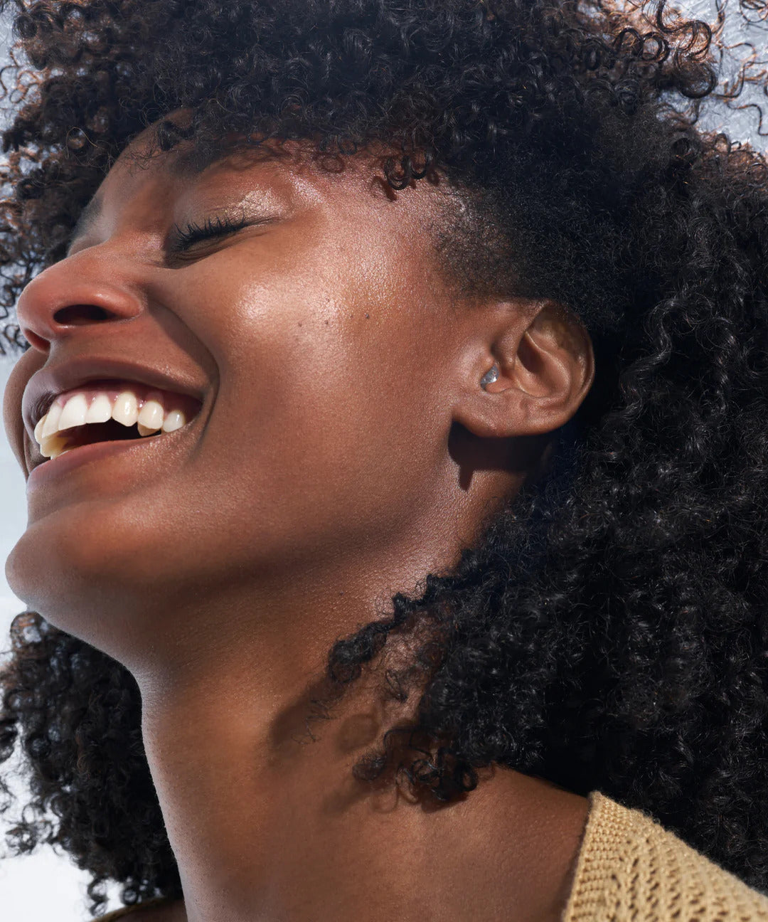 Fiestas & Conciertos